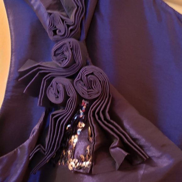 S L Fashions Lapis Dress Size 12 ** - Picture 6 of 9